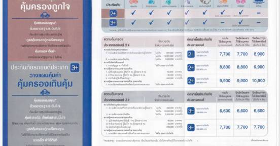 ประเภทพลัส